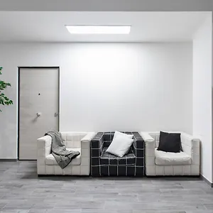 Olimpia House Affittacamere